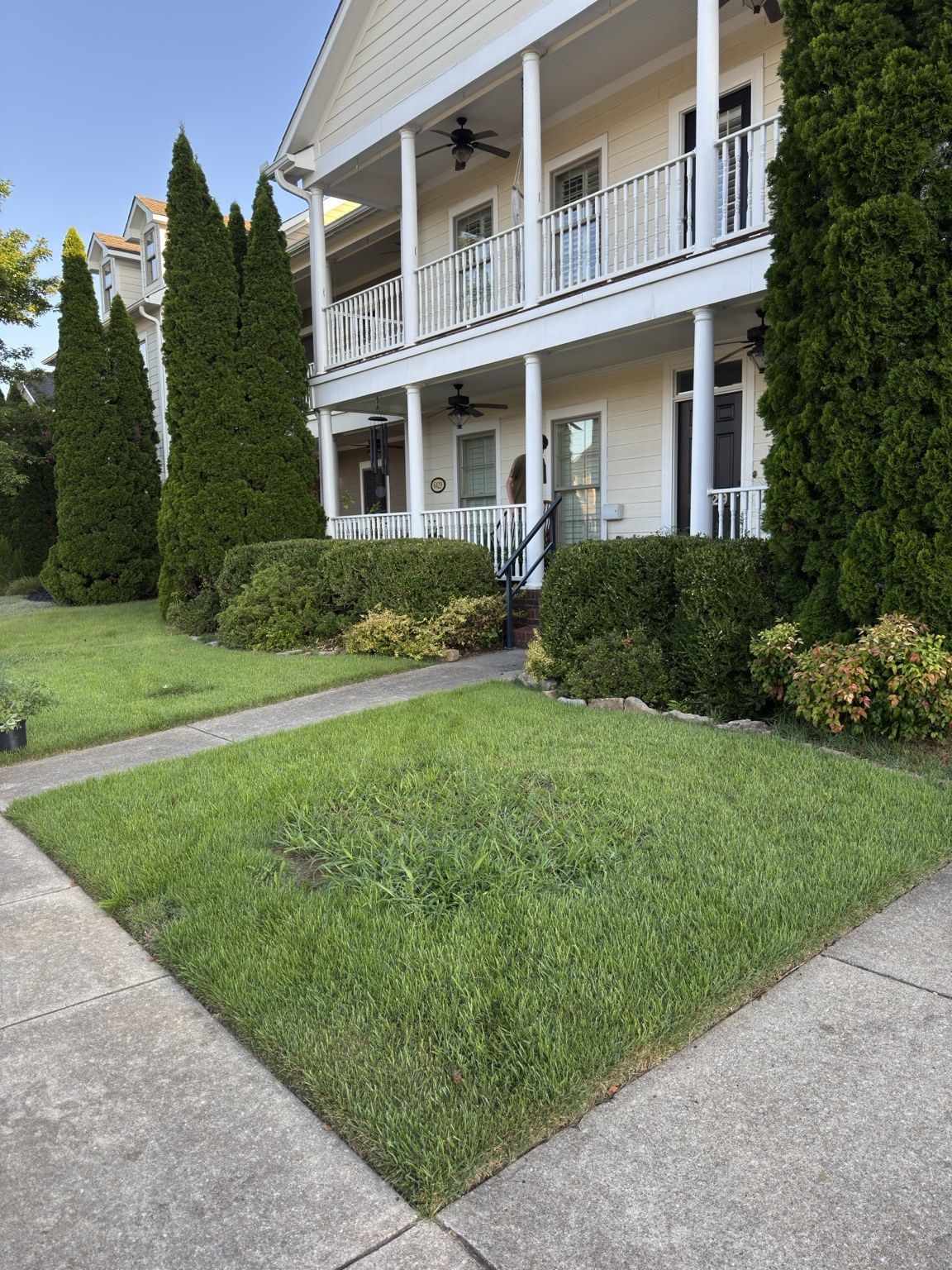 Front yard before conversion with Bermuda lawn and conventional foundation planting