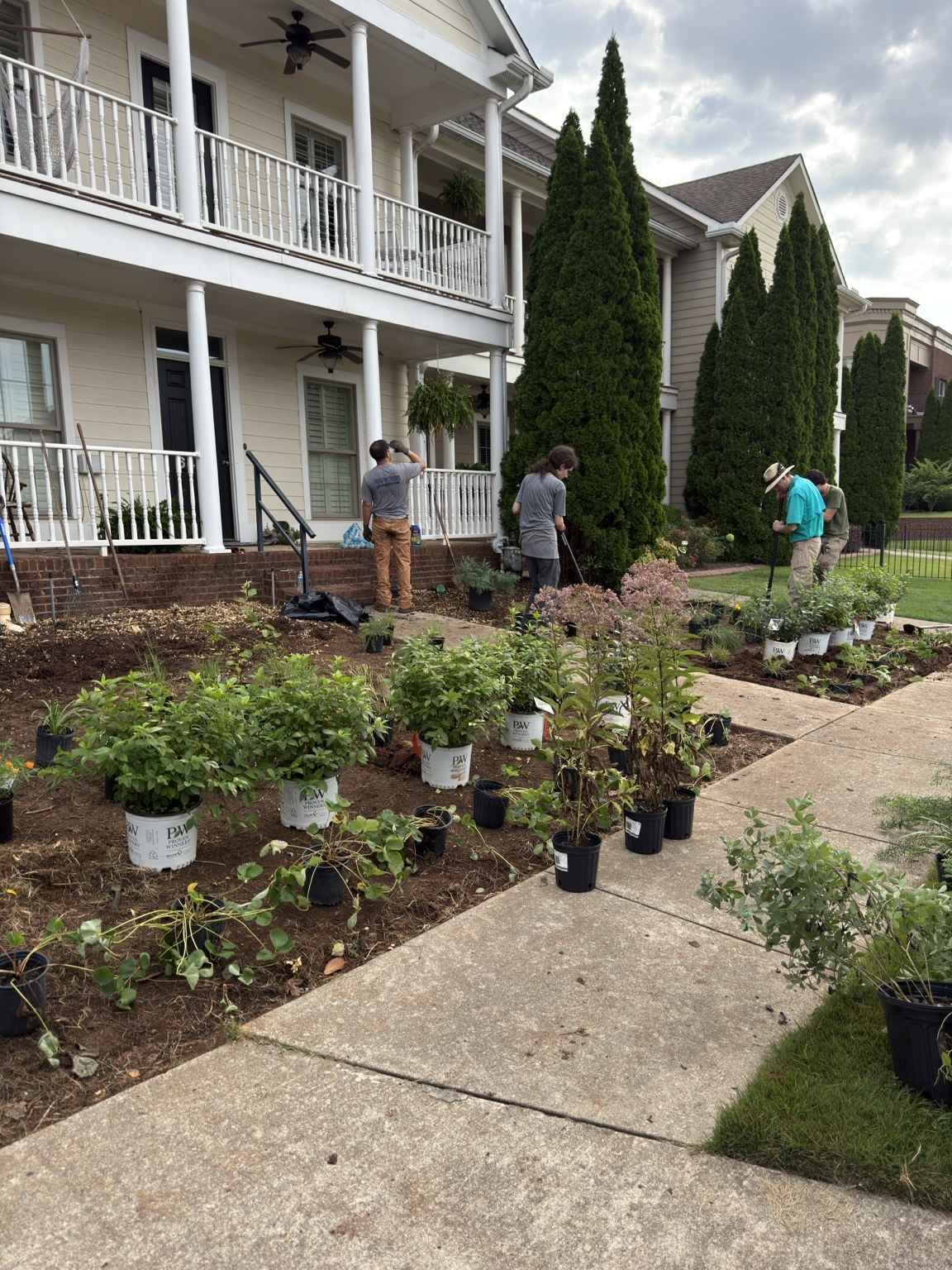 Pollinator plants arranged across the bed before final installation