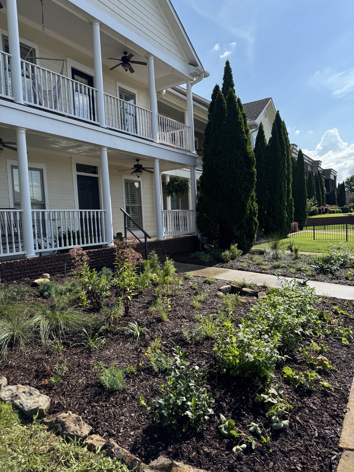 Freshly finished pollinator front yard with layered planting and brown mulch