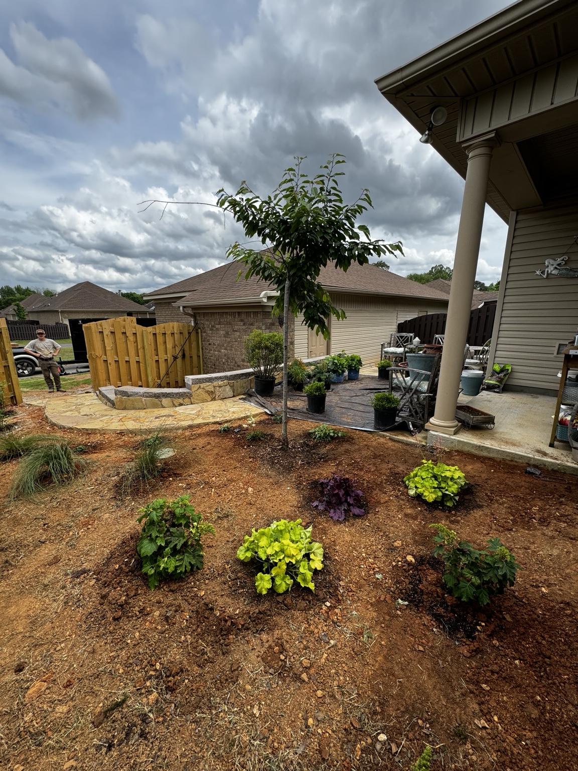Courtyard plants positioned during installation around the new path and patio